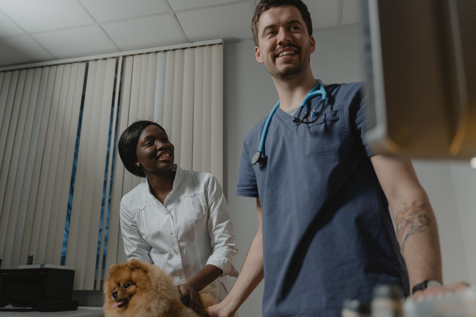 Veterinário e tutora sorrindo ao cuidar de um cão durante a consulta